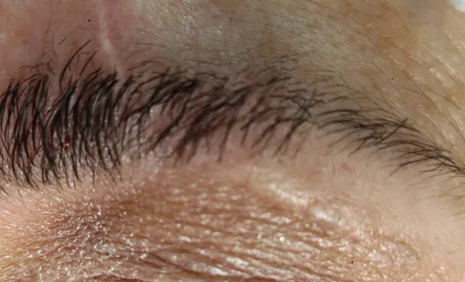 SOURCILS NATURELS 