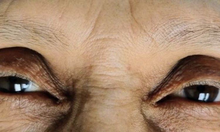 SOURCILS  NATURELS  LE  20 NOV 2025